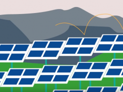 Community Solar to Benefit From Process, Platform Standardization