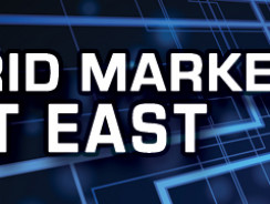 Infocast’s Microgrid Markets Summit East Announces Addition of U.S. DOE/MIT Microgrid Controller Demonstration and New Speakers